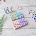 Thickened Plastic Laundry Clips